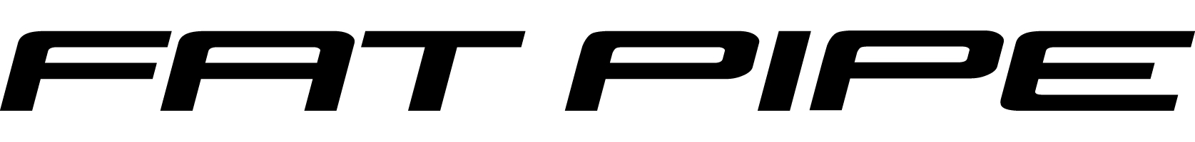 FatPipe logo white bkg